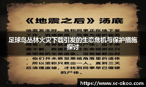 足球岛丛林火灾下载引发的生态危机与保护措施探讨